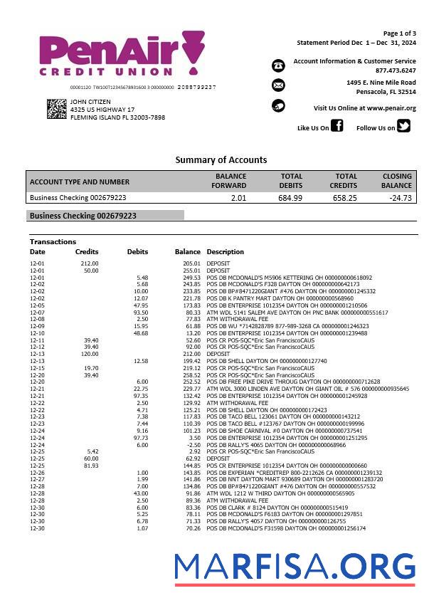 Printable USA Florida PenAir Credit Union bank statement word 3 pages example